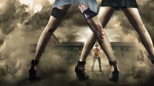 hero image