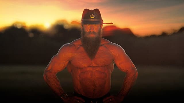 hero image