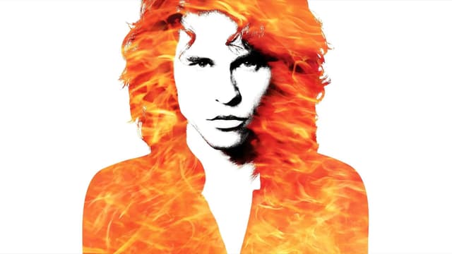 hero image