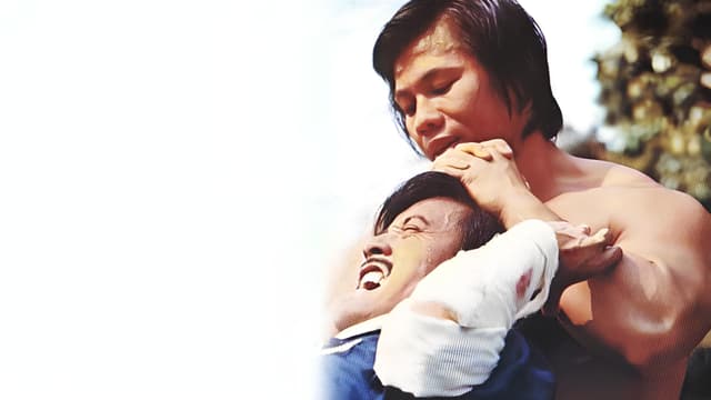 hero image