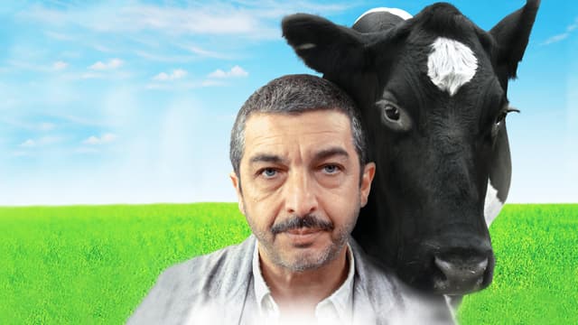 hero image