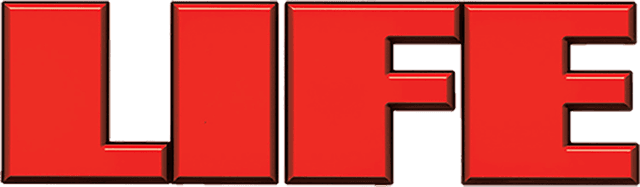 logo image