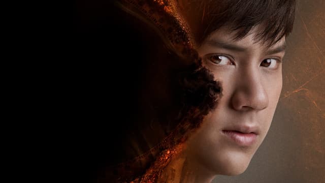 hero image