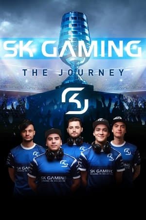 SK Gaming: The Journey